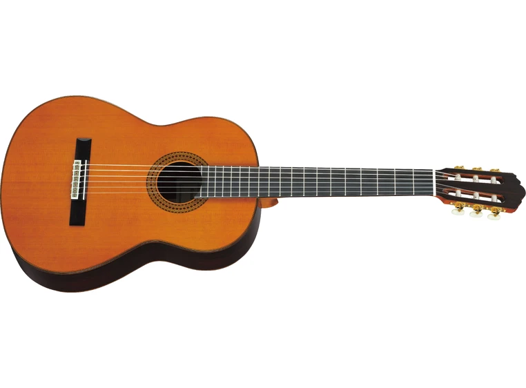 Yamaha GC22C Grand Concert Guitar 